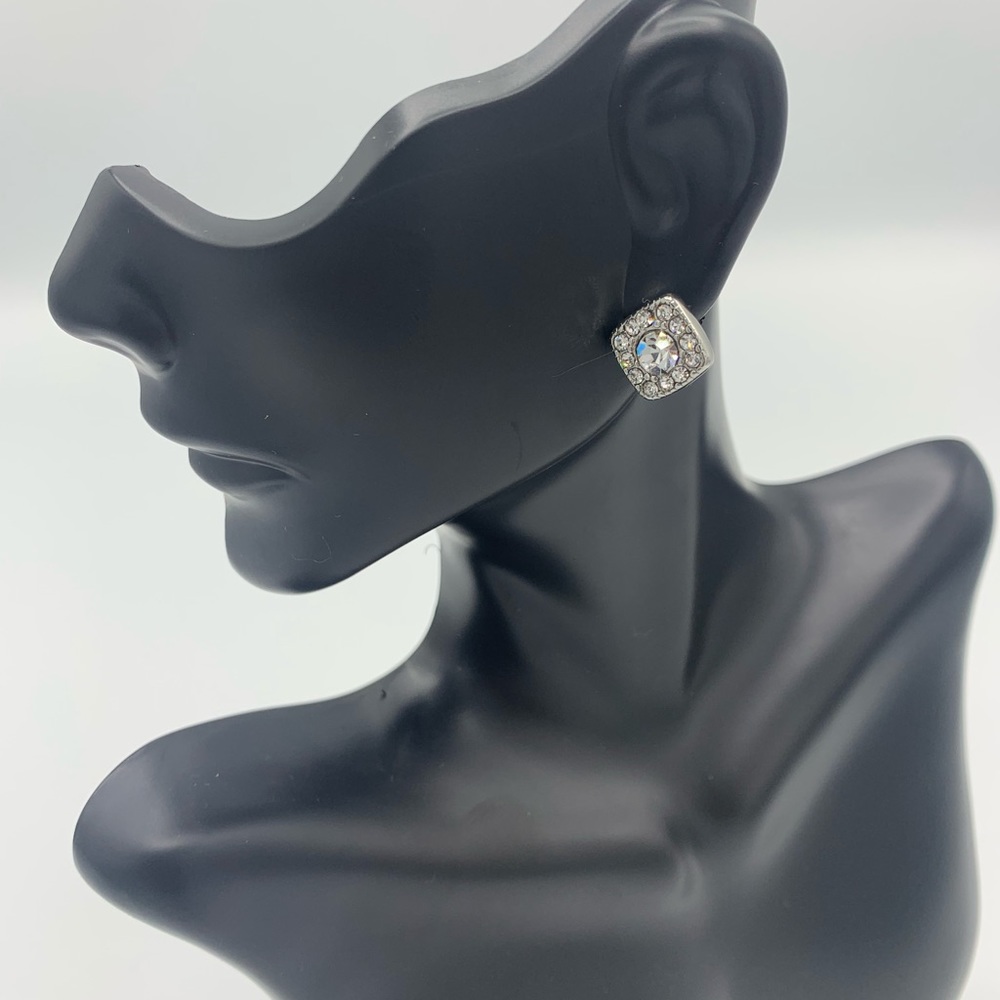 Bodi Earrings